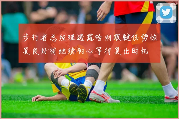 步行者总经理透露哈利跟腱伤势恢复良好将继续耐心等待复出时机